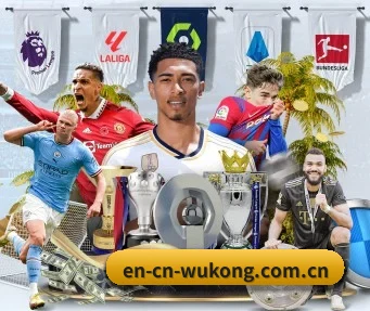 悟空体育 APP(wukongsports)