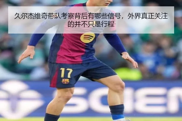 久尔杰维奇带队考察背后有哪些信号，外界真正关注的并不只是行程 - wukongsports